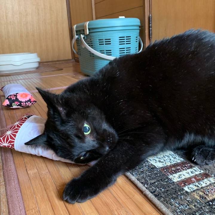 458d3b55 bb01 4152 879f d12be9310142 1583800903716