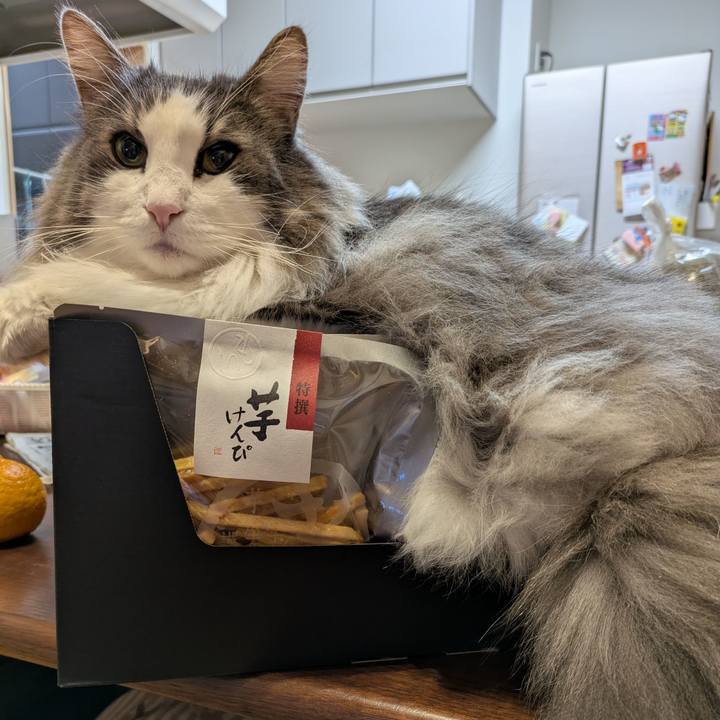 458d3e5b c294 4edb 978f 3ddca7420f83 1762516120084