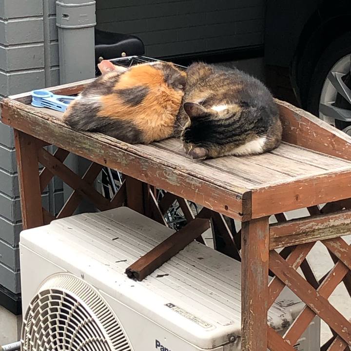 458d4a5e 9f3f 4e1a a527 dff56b7fc7c8 1562346304823