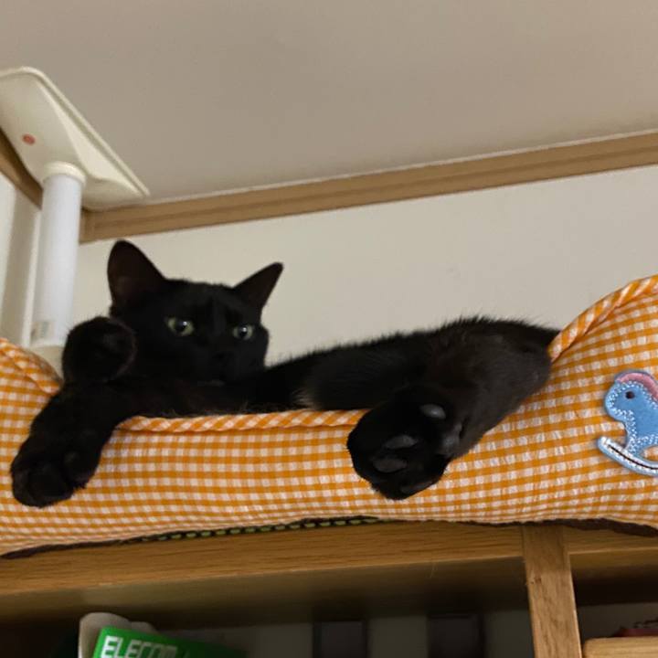 458d8198 d8f6 4ac5 a206 ffffdad76ace 1631493927104