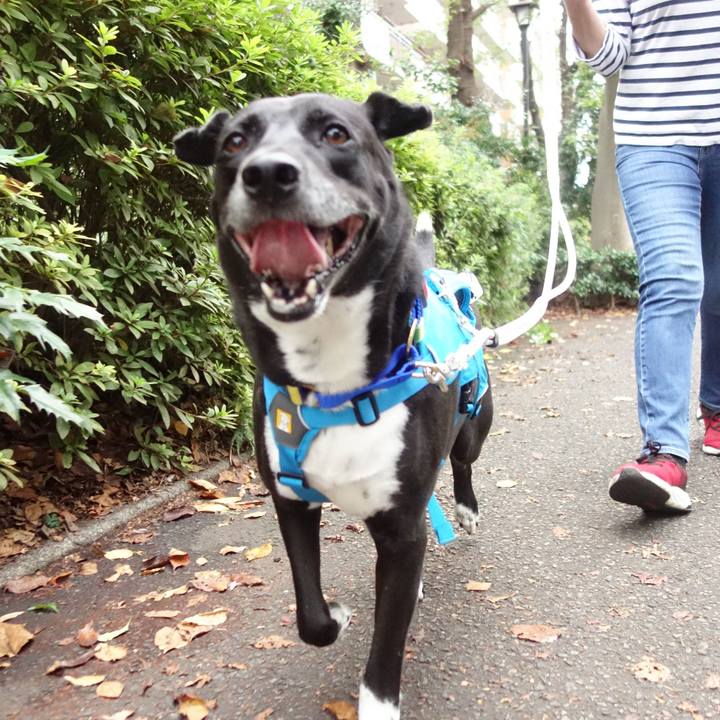 458da415 b900 4c31 a411 cb599eb6c76f 1665881849268