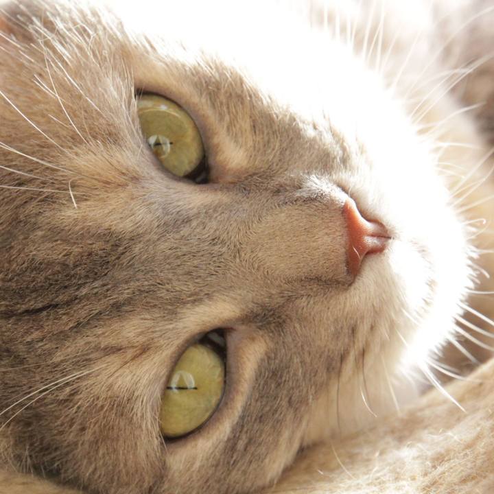 458db5ef 1b2d 4968 816f ea3bd2bfb234 1600589728626