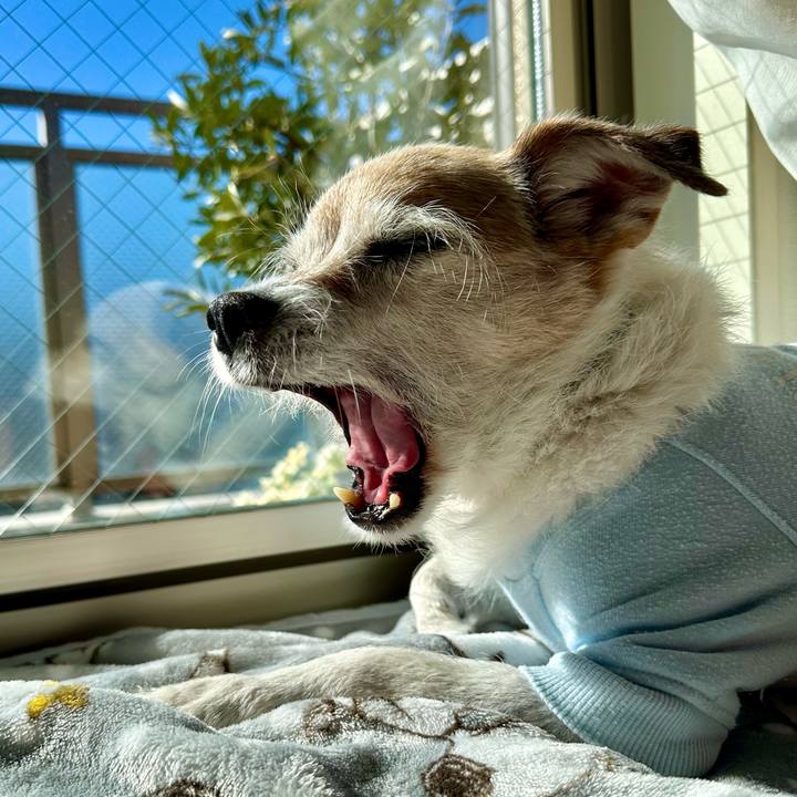 458dc140 9eea 434e 901b 4eb19ec11bd1 1711507533728