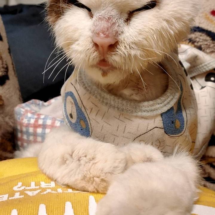 458dc21b 217a 4a47 bc3f a11e5c8bb0a6 1611146424658