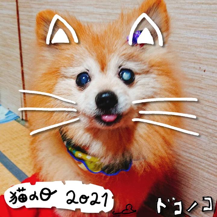 458df0af 2dd9 4ef8 af07 8cbae47319dd 1613968937843