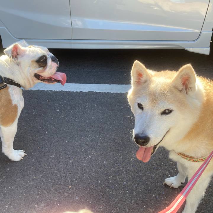 458e38aa f121 4f89 b011 c0bdcacf9efa 1698939259076