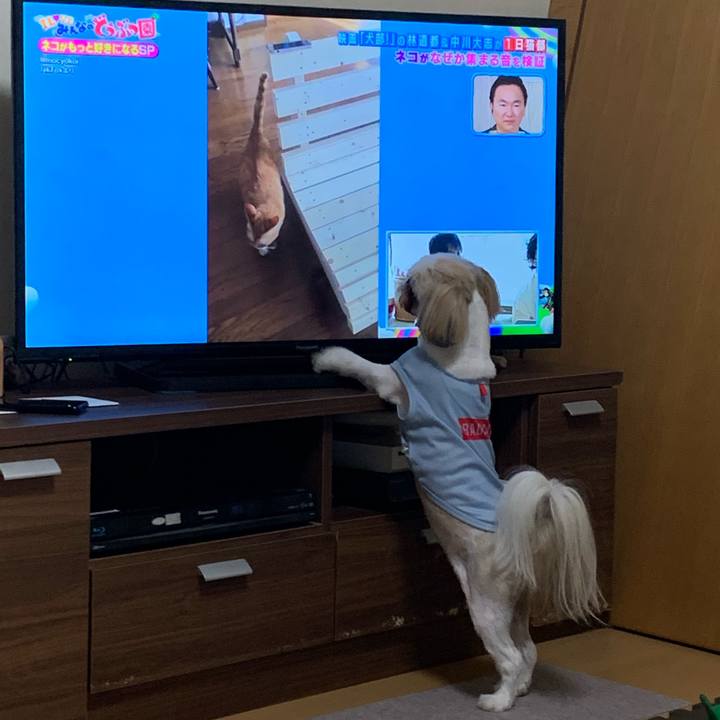 458e5640 644f 4dbf 8f65 7cfa70555bfc 1625913589844