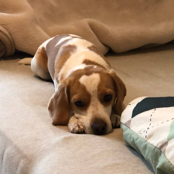 458e65c0 6223 489b 8065 2f052d1964e8 1579529110361