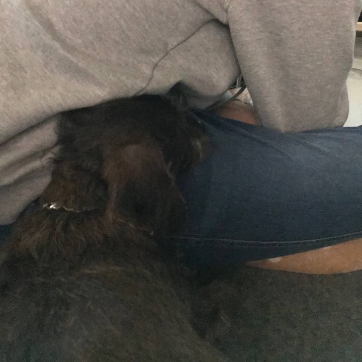 458e835e 0717 4be3 9910 65f71d4945e8 1518338595137