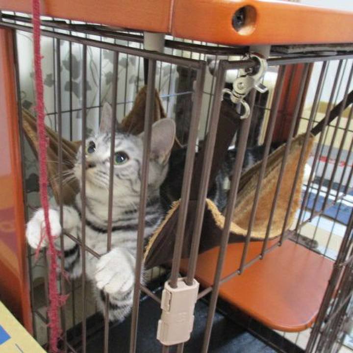 458eae5f 84fb 4436 be70 cf4c216dd6ab 1538710183424