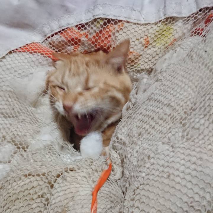 458f4645 9045 4549 8015 ab51c377cfb5 1646168593087