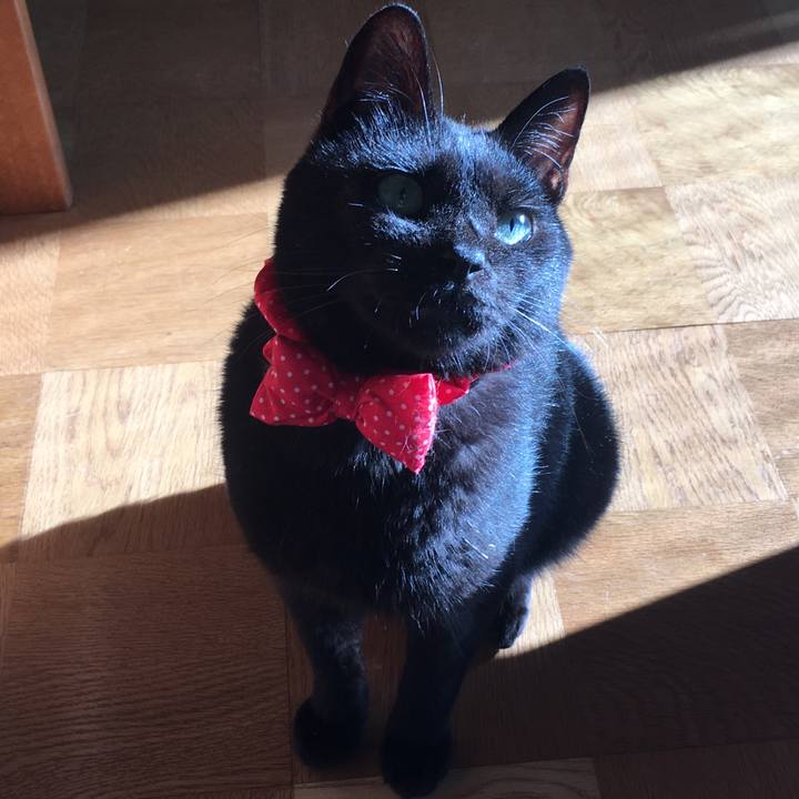 458f5365 1b64 490b 9341 49cc7134ecbb 1536133044588