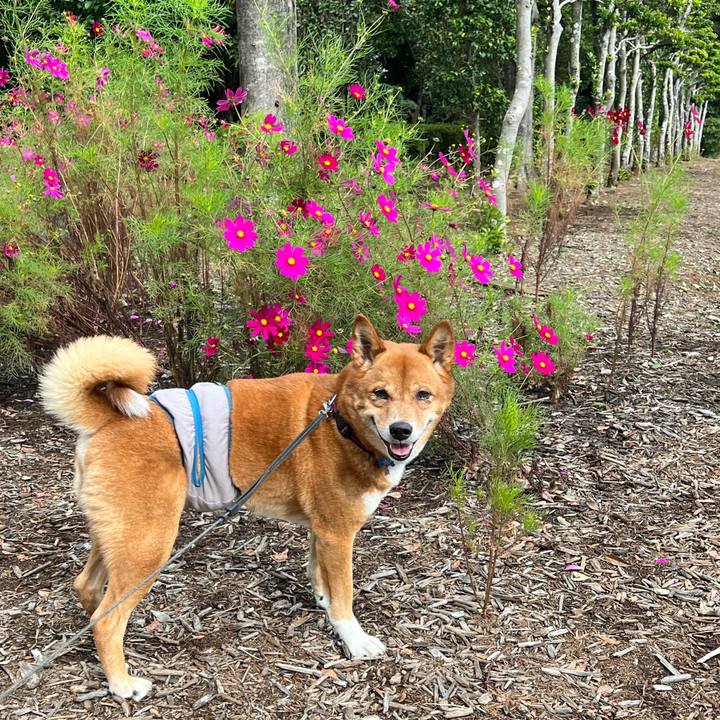 458f8256 1e3f 4e86 b658 159038e50493 1699185829479