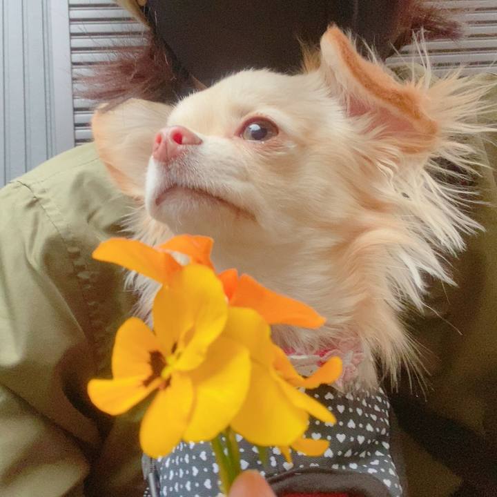 458fa6f2 278a 4b65 b22f 26946b156c17 1614335916199