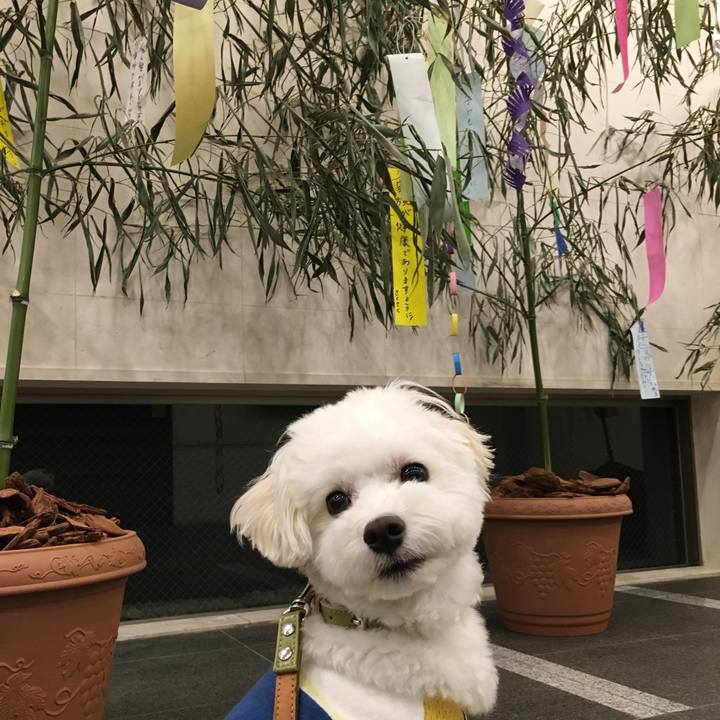 458fb0bb f7e7 4a75 9c8b 2a479f85648a 1562459443092