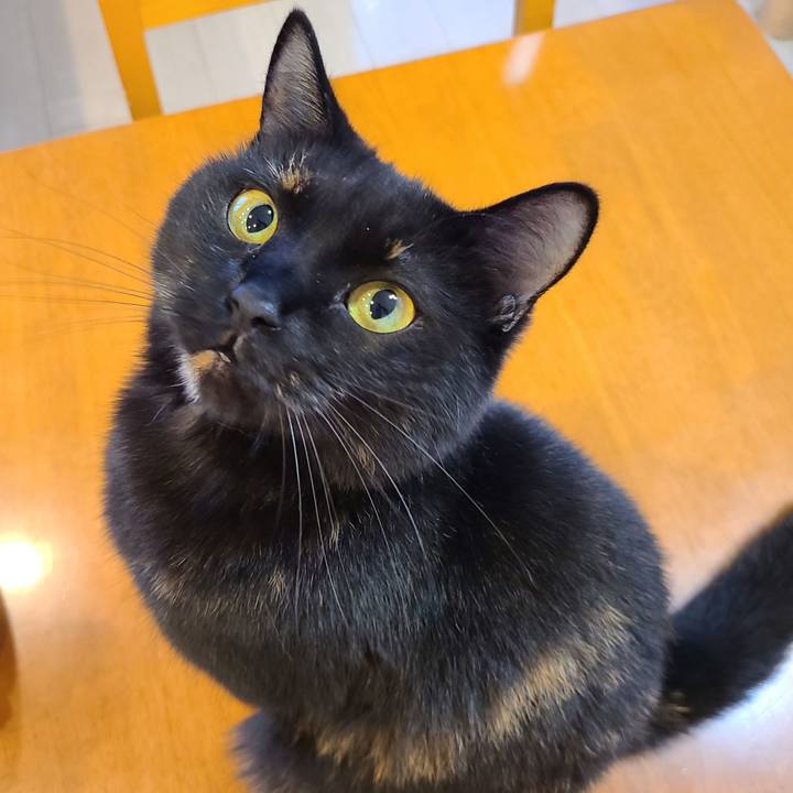 458fd5f3 d447 4376 833a f59739d057f4 1657028452655