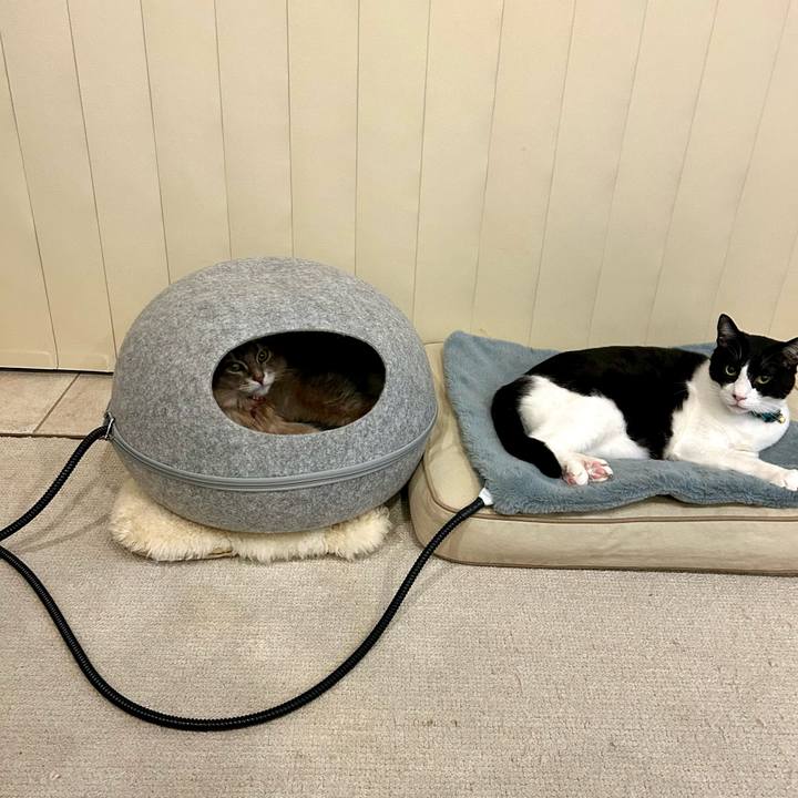 458fd841 a47c 484f 8b7d 2e2ea8ca1910 1761349155300