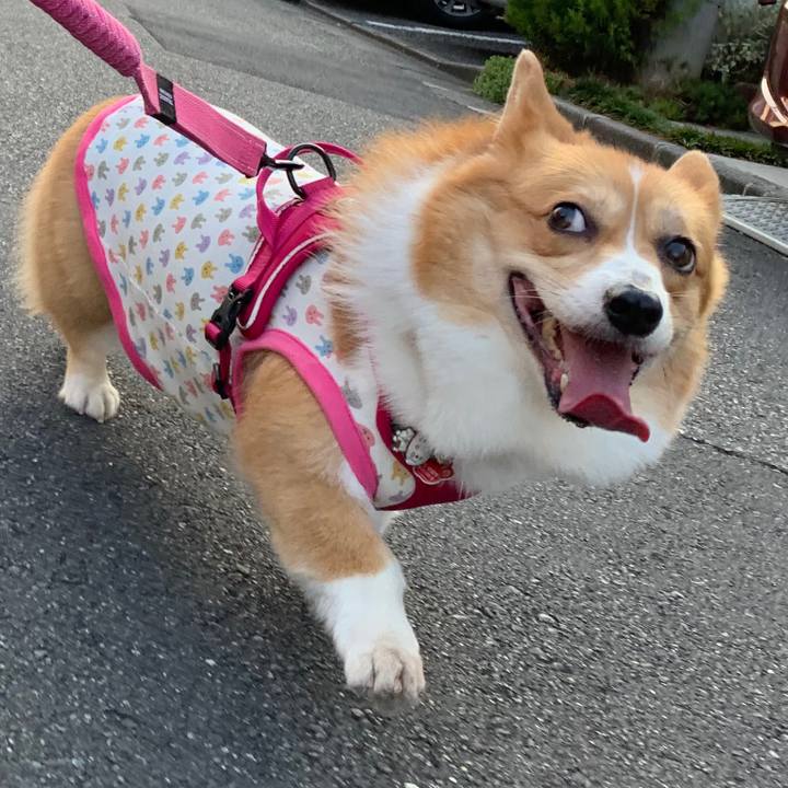 458ff35a cfed 4f5f 8bef 2ed6d4abea79 1598392044559