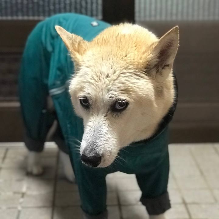 4590090a 7ff3 4ac2 aeea 388723b32a86 1748078020981