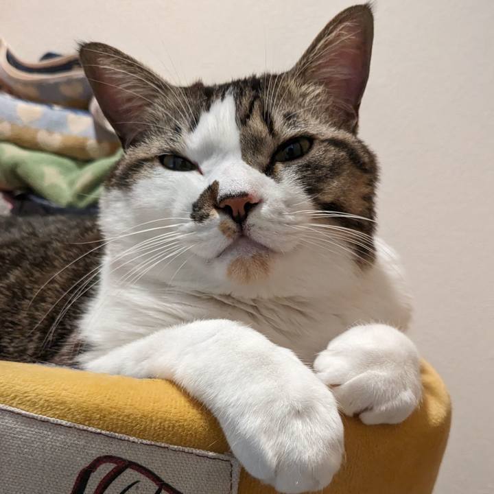 45903beb bb88 43fb adae 4145811193ed 1704373333309