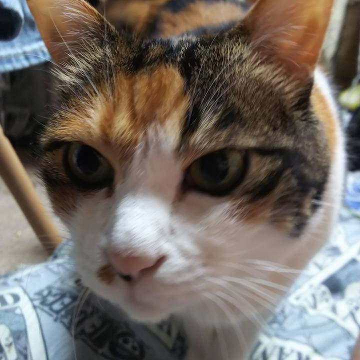 45904a21 4ea7 40a4 ae4c a1d684b5ff6d 1567547375713