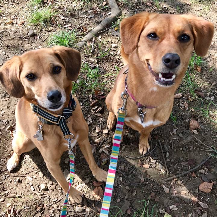 459058e3 dff4 46de 8c69 db614bb71509 1540006075803