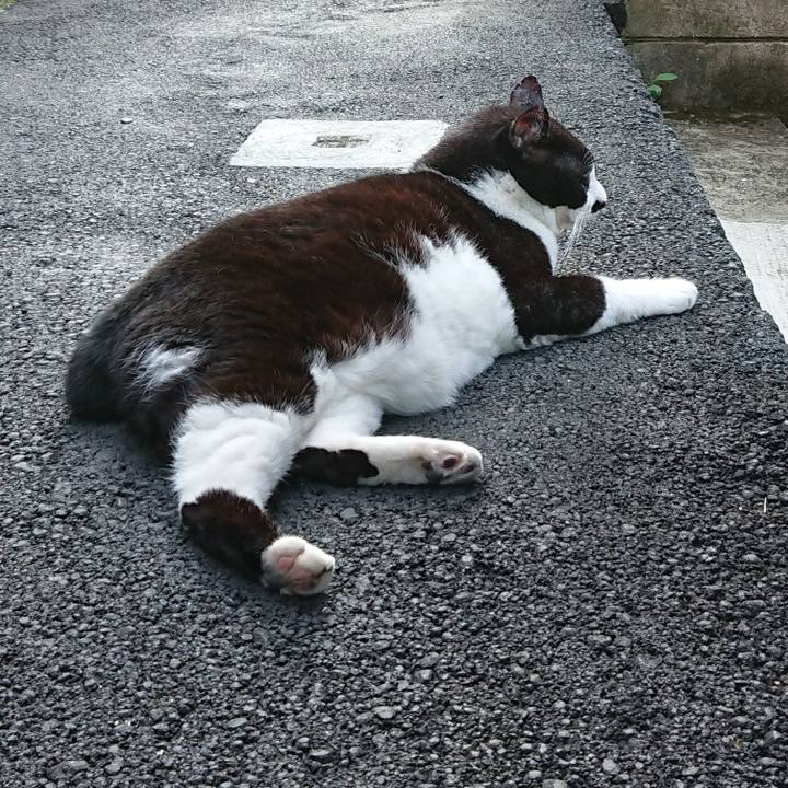 45907829 4a6a 4306 9ef5 63549f7c4c01 1632208937493