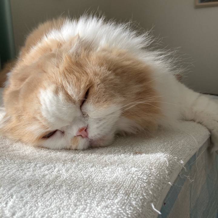 4590b8cb aa5f 493b afc8 b44690fbd597 1611323536335