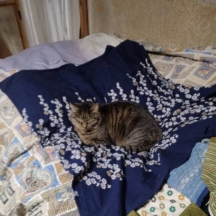 4590d6dd 0682 47f2 a415 1416ab3bdf5d 1705915681551