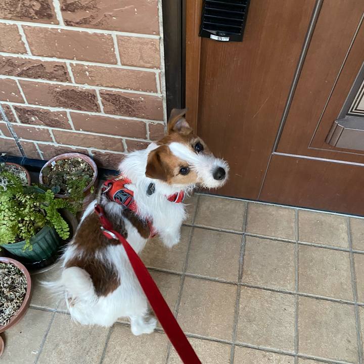 45910369 c230 4aff a9ef b54164ce0d08 1738623274612