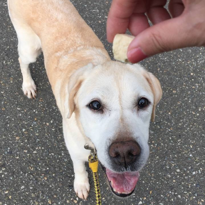 459108ad cc4a 4789 ba42 a53f4a216af5 1536704123677