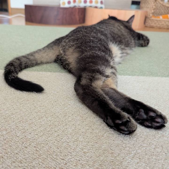 4591a0f7 9597 44d2 98eb 14c26aea69f8 1760335927435