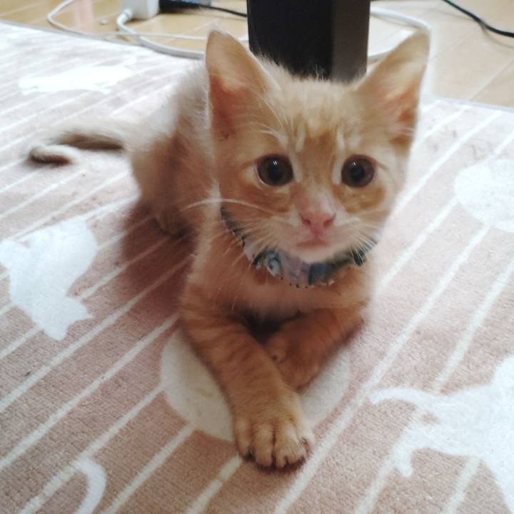 4591ad1e b3d4 43ab b295 81930faba7fb 1669770809706