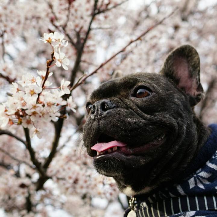 4591d420 1e71 4584 a4ef 8038b0d9506d 1521360016708