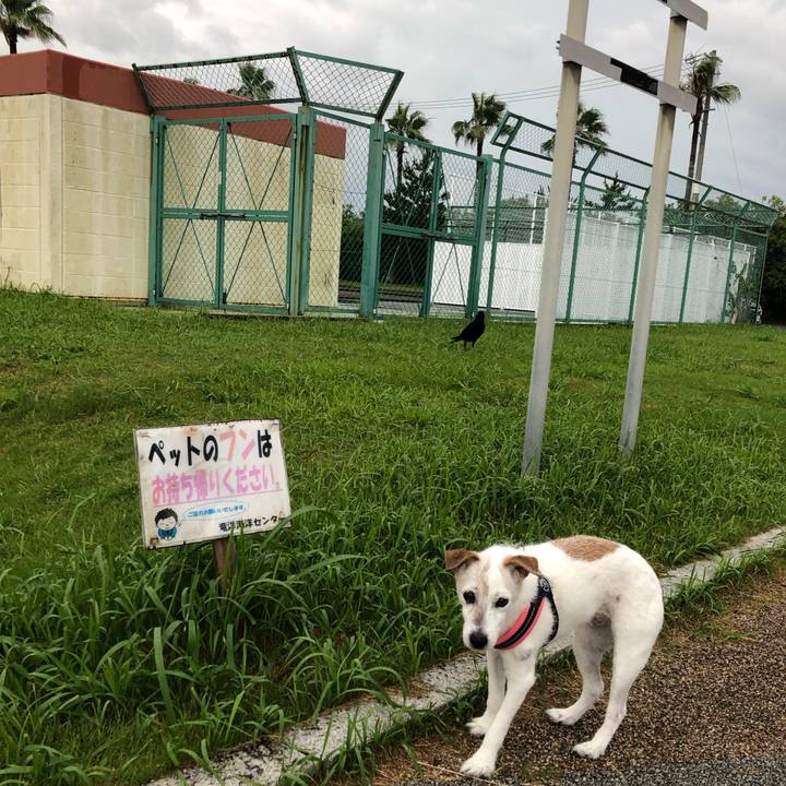 4591ef07 9aca 4162 86b1 54e489849366 1657372182489