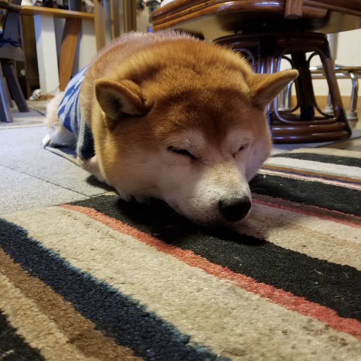 4591f5c5 a49f 40b4 8321 4263ae530fc9 1576796691695