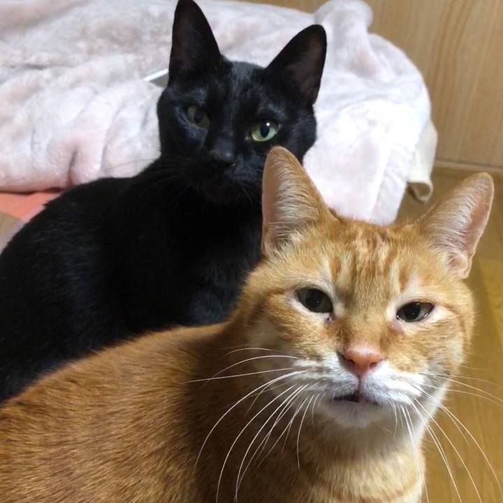 4591fd61 12c2 463c ae41 43777dfd08f0 1711631037030