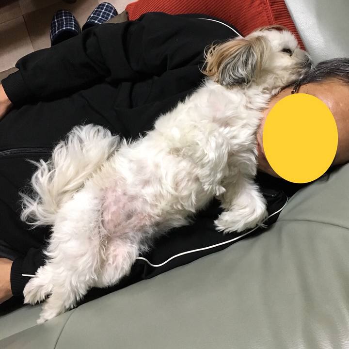 4591fd91 9e12 4a77 97ca 1ae28960cb2c 1541122063002