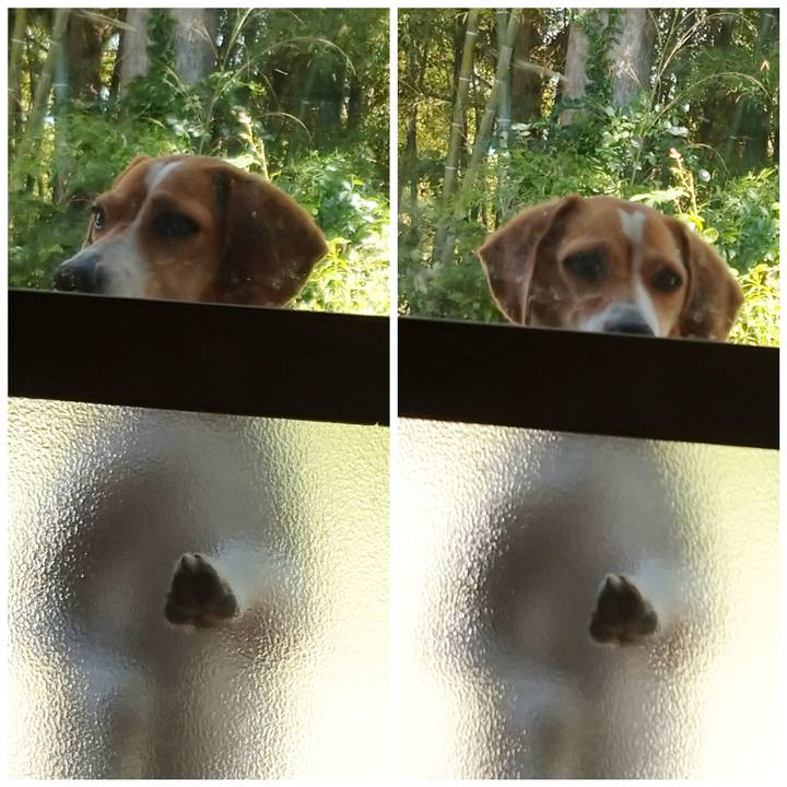 4591ff70 46b7 4e62 9978 e4b5442e1a03 1589954758117