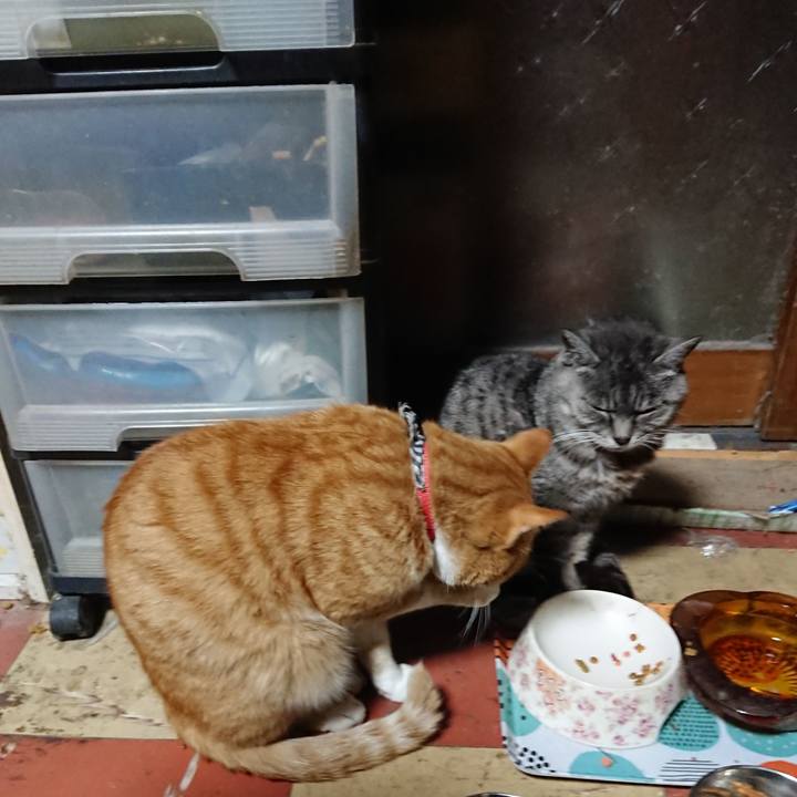 4591ff92 9f46 4346 9de2 e120833f9262 1572725231931