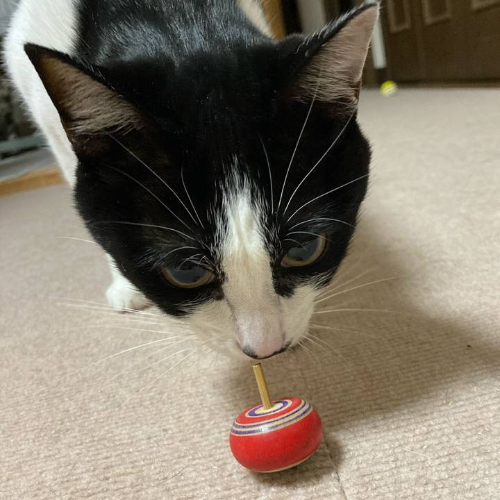 45920efa 0184 42de b8fd f1c7b78ef8fb 1609238389858