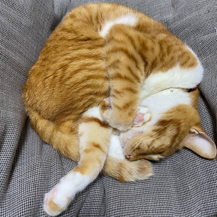 459218ff 39d3 416c be57 ecea932097f3 1653174065475