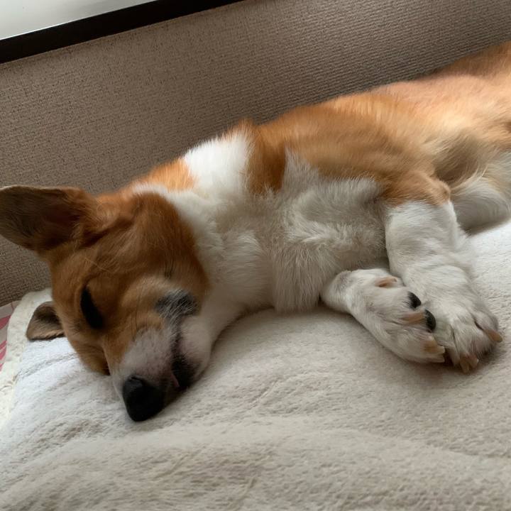 45921f60 ba9e 45a9 b6e7 6150bf39540a 1600296937738