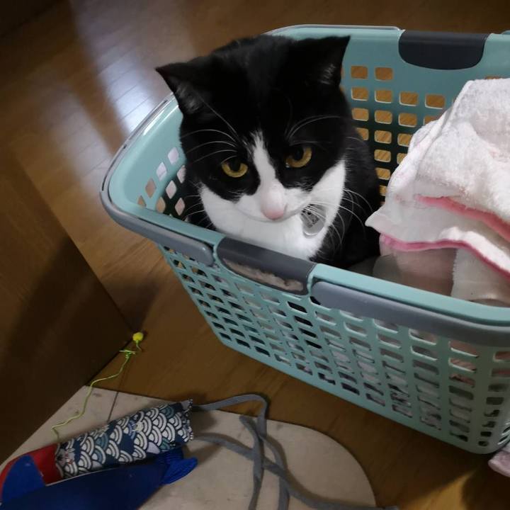 45923bff 1052 4fe5 a015 9ce07f9bc133 1648970682381