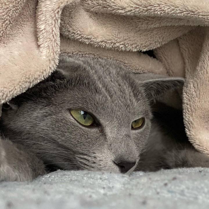 45924bf2 eb8d 4ab7 b723 dbf5664d7f39 1649030252484