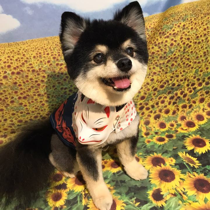 459295bb 0272 410c a1bf 4934bd89c44e 1635560828417