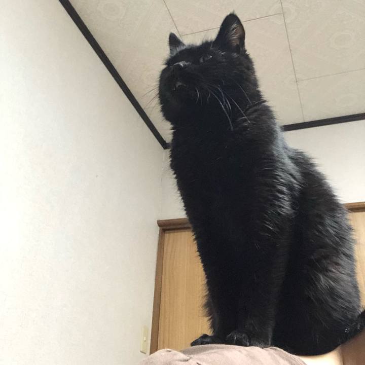 4592adff c05c 4627 95ac 47a062146bbf 1605442095317