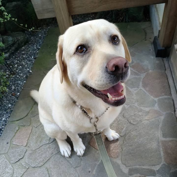 4592c258 0a34 4587 a699 f614898aa1f9 1639150312738