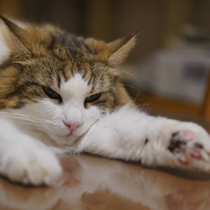 4592ed99 83b1 429b 8879 7d3fa87ab2dc 1694259847342