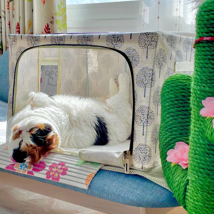 4592fc7c bc85 48db bf6a 6743d48c4680 1657195890532